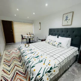 Habitación King para 3 personas con estacionamiento privado gratis, con conectividad con toda la ciudad y un barrio seguro cerca de los principales lugares gastronómicos, turísticos, centros comerciales y centros de salud